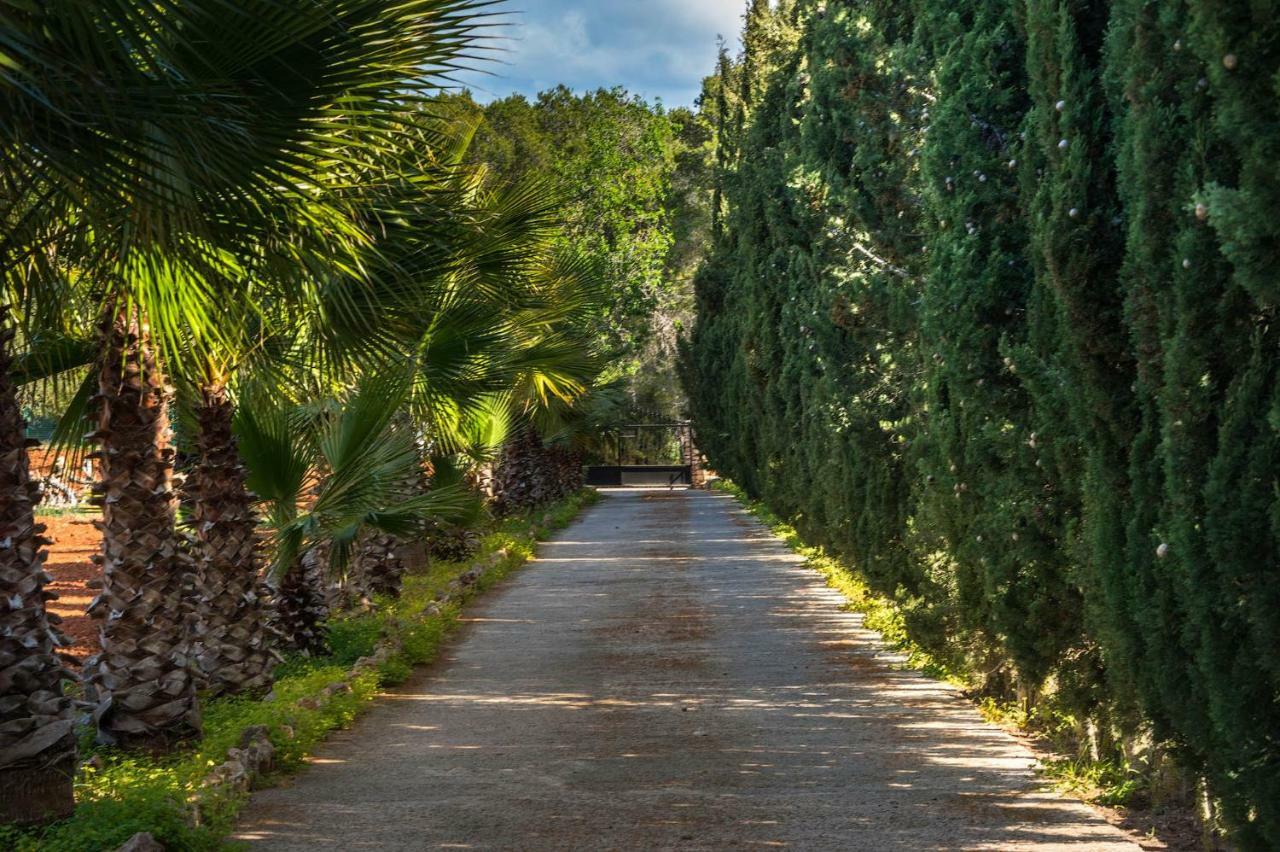 Villa Can Fita Puig D'en Valls Экстерьер фото