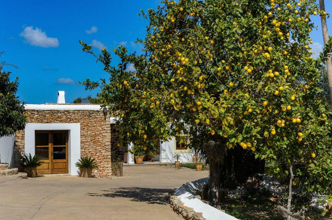 Villa Can Fita Puig D'en Valls Экстерьер фото